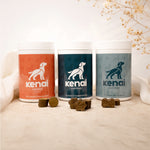 Kenai The Daily Routine - Drei Drops für eine klare Routine