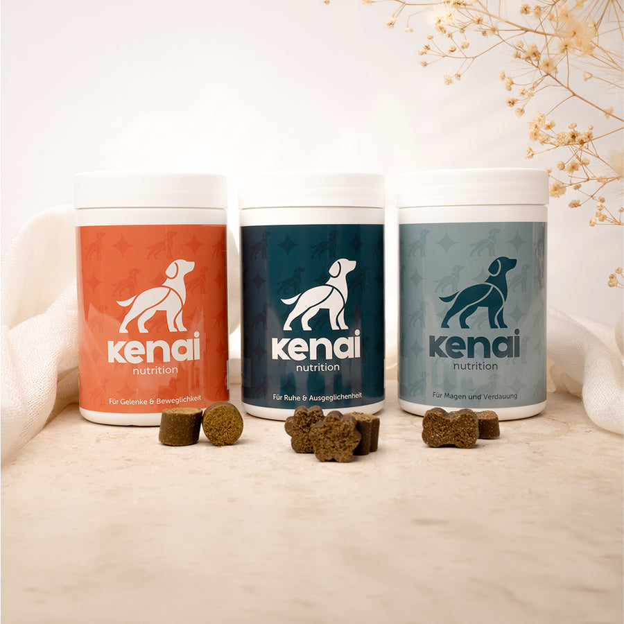 Kenai The Daily Routine - Drei Drops für eine klare Routine